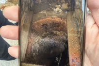 �����ϳ����ڳ����ؽ�������Ѳ²ⲻ�ϣ��ž����ܵ���ר�Ҹ����ƽ�֮��