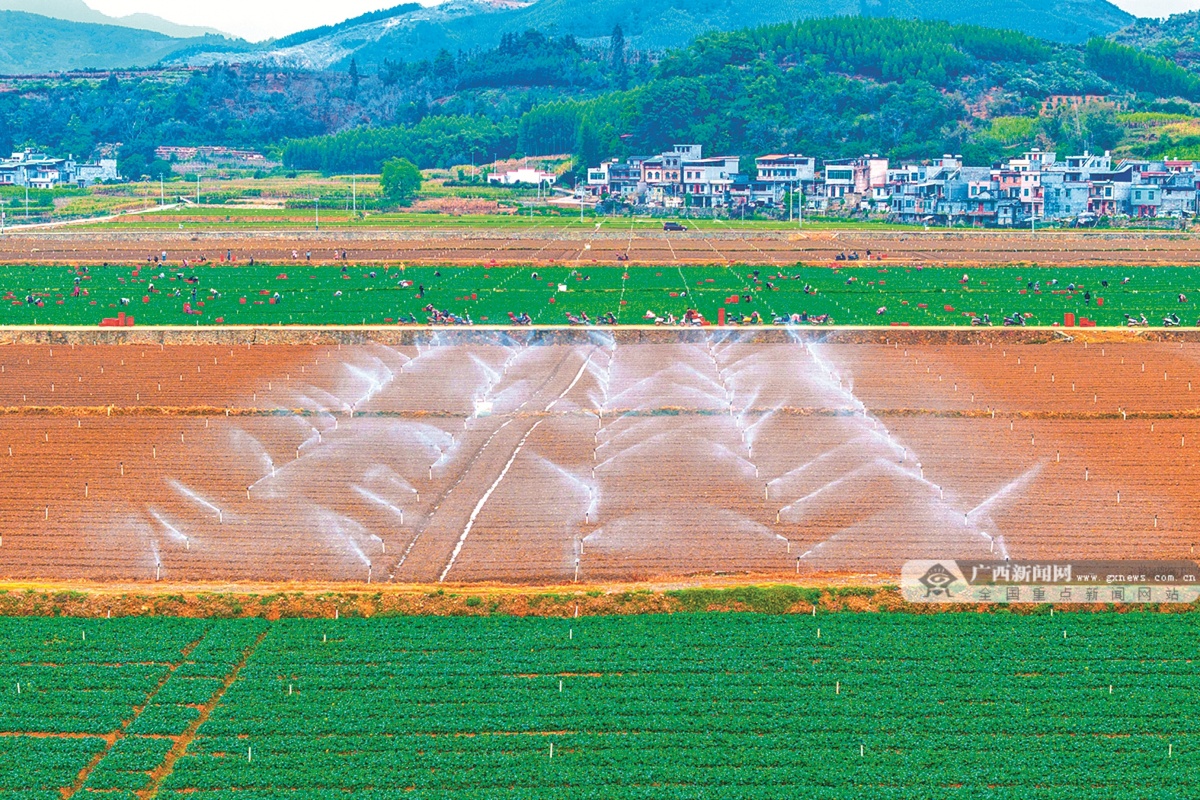 1��12�ս���ͼ