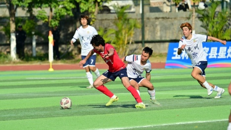 �����飡�����س���������������