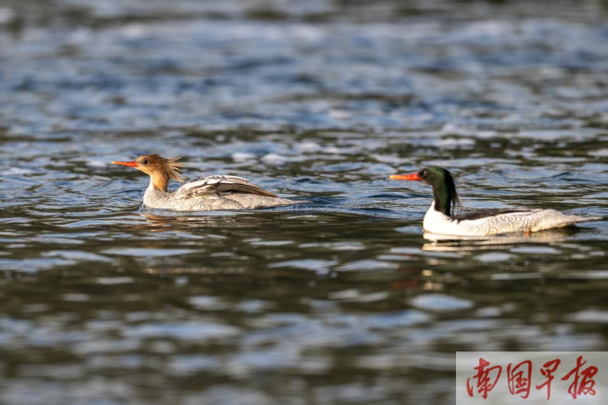 1��13�ս���ͼ