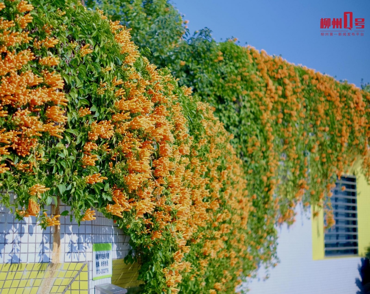 1��13�ս���ͼ