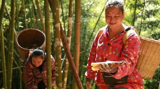 ���㣺��������Ũ ��������ʱ