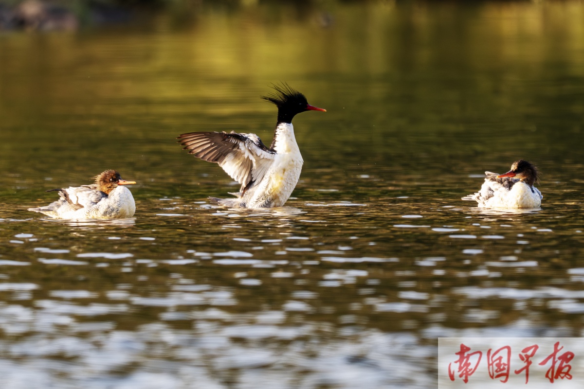 1��13�ս���ͼ