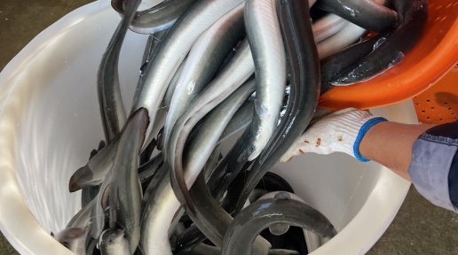 ƽ����20����������˽���