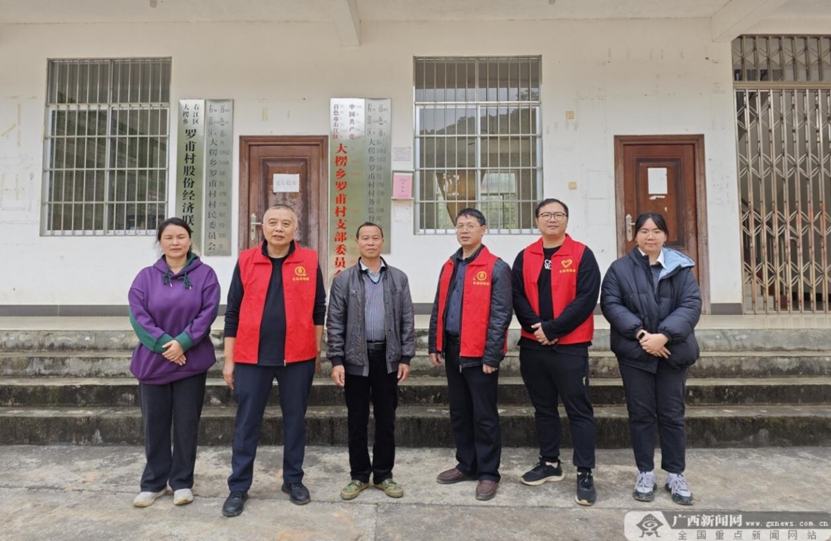 金融护航八角香北部湾保险八角种植收入保险落地(图1)
