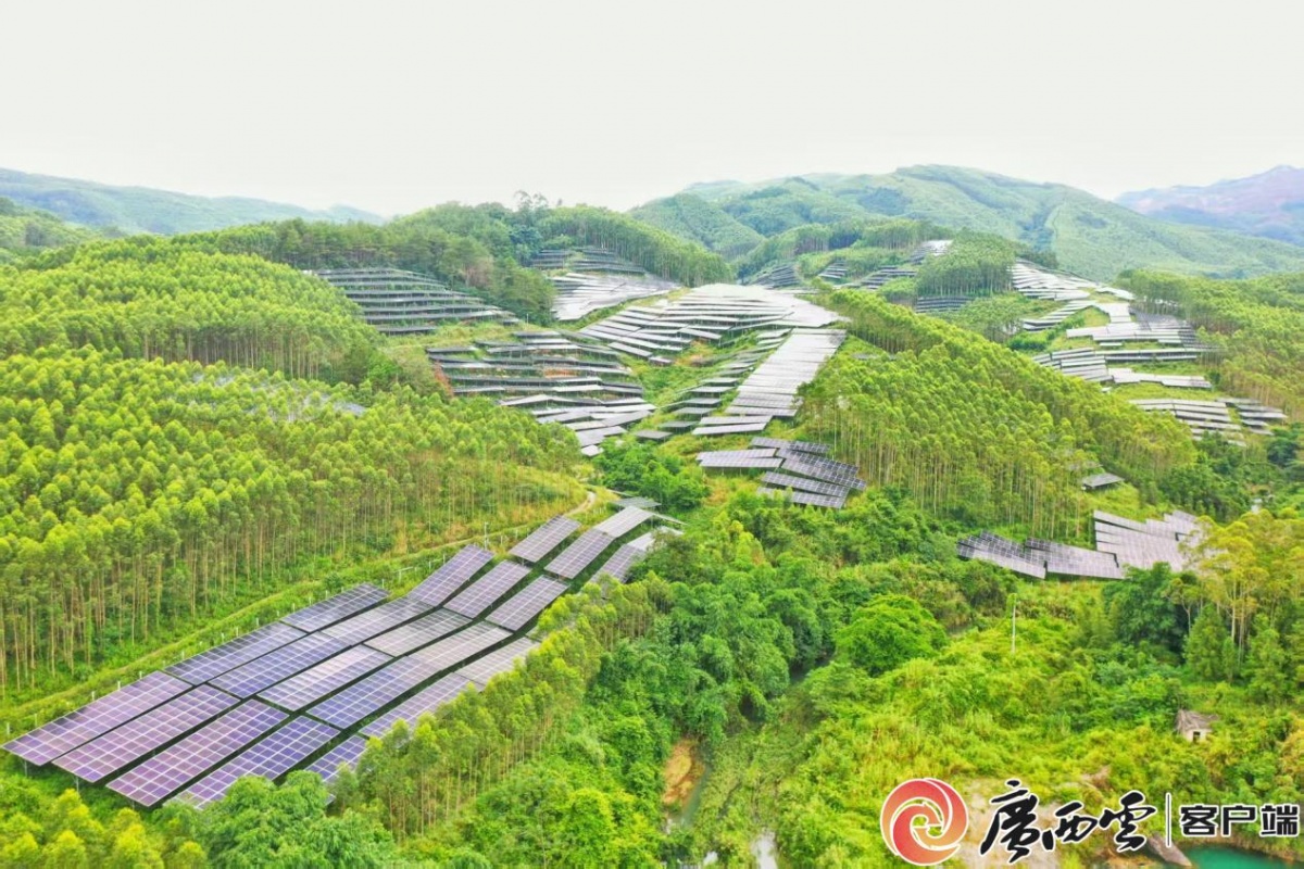 阳光“伏”利武宣“晒”出高质量发展新答卷(图4)