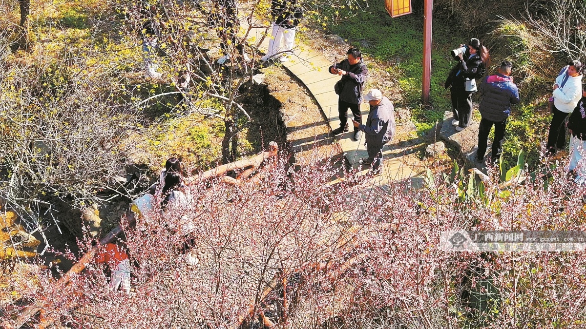 1��15�ս���ͼ