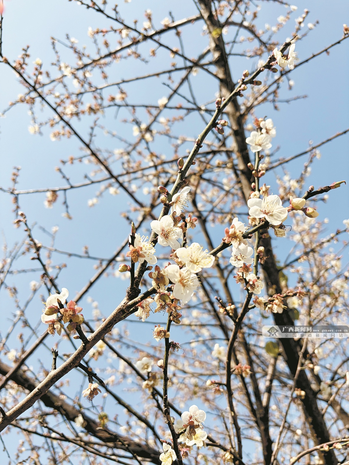 1��15�ս���ͼ