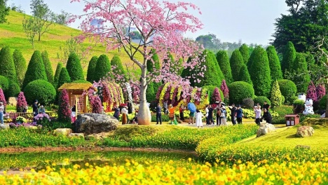 ����������һ�����ع��ߵ���Լ