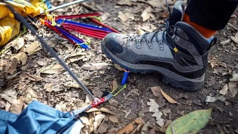 ���δ�����ǰ�Ѷ��Ƿ�Ӧ�е����Σ���߷����