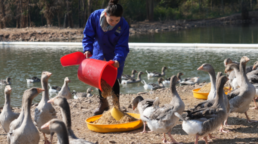 ���������������⡱ �˲�����80�󡱴�����������¸���