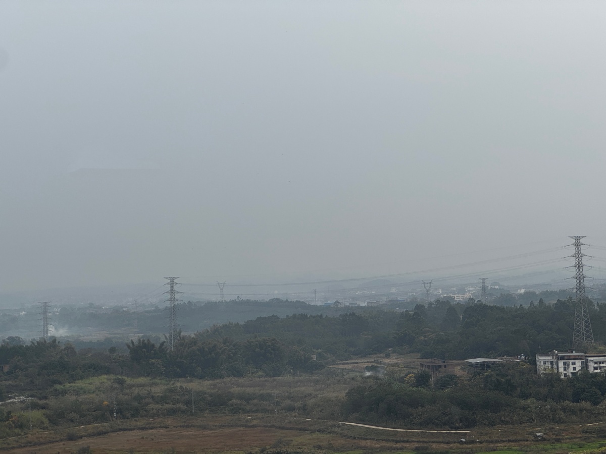 这个冬天不太冷？广西气温持续偏高，专家提醒警惕冬季“断崖式降温”