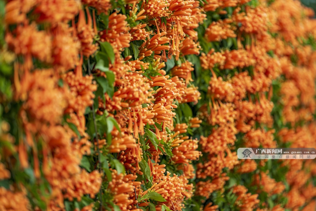 1��18�ս��c�D