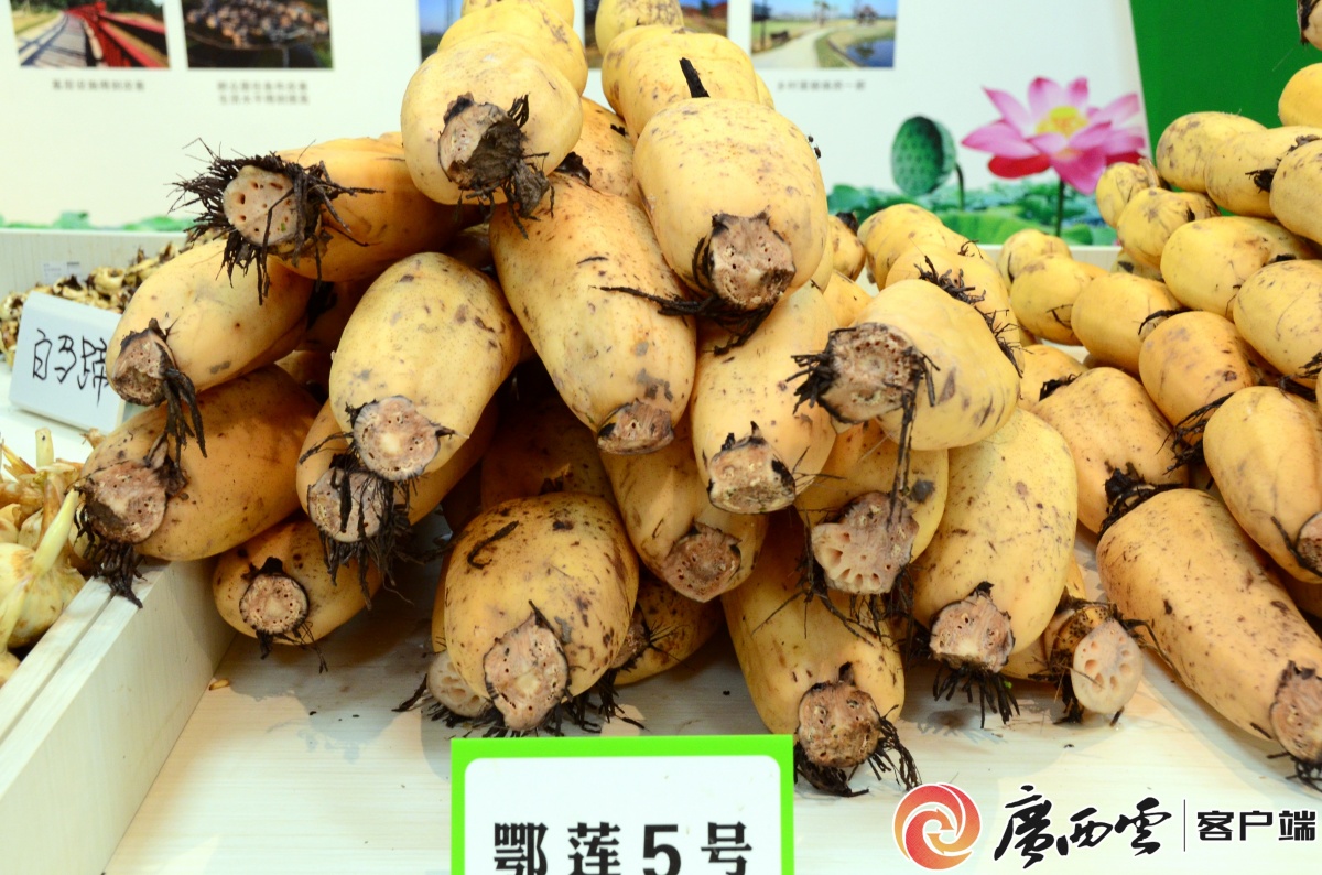 农产品“持证”出圈！贺州3个特产入选全国名特优新(图3)