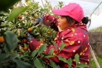 �ھ����г�����ˮ���۽��ÿ�������ۼ���ߴ�200Ԫ