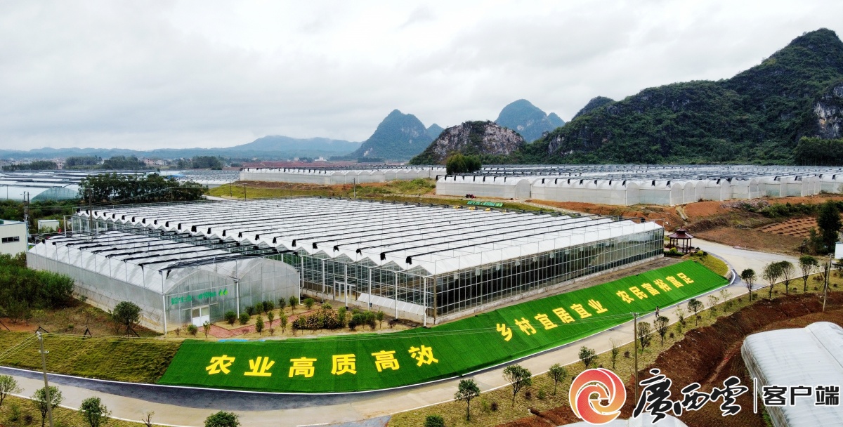 农产品“持证”出圈！贺州3个特产入选全国名特优新(图1)