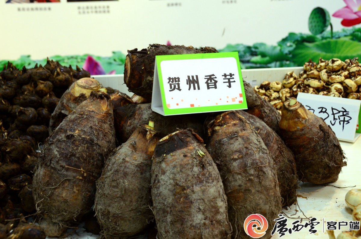 农产品“持证”出圈！贺州3个特产入选全国名特优新(图4)