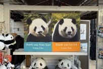 ����è���������͡����١�����27�մ��ձ����̻ع�