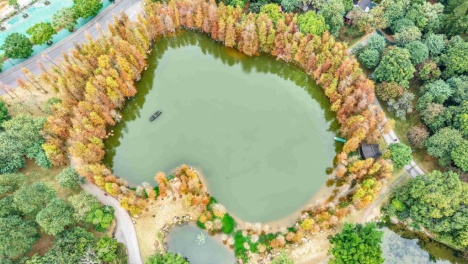 ��������������ɽ��ɼ��������ɼ