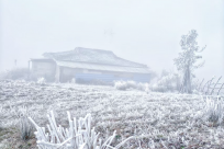 �����䣡���������ѩ���ֵ������ѱ���17�����ϣ�