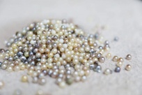 ������֮�⡱�ڽ����������ţ��������鼾��Ļ