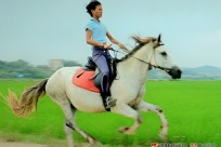 �����ֹŴ壬��Ϊ���б�����һƬ���������ܵĲ�ԭ��