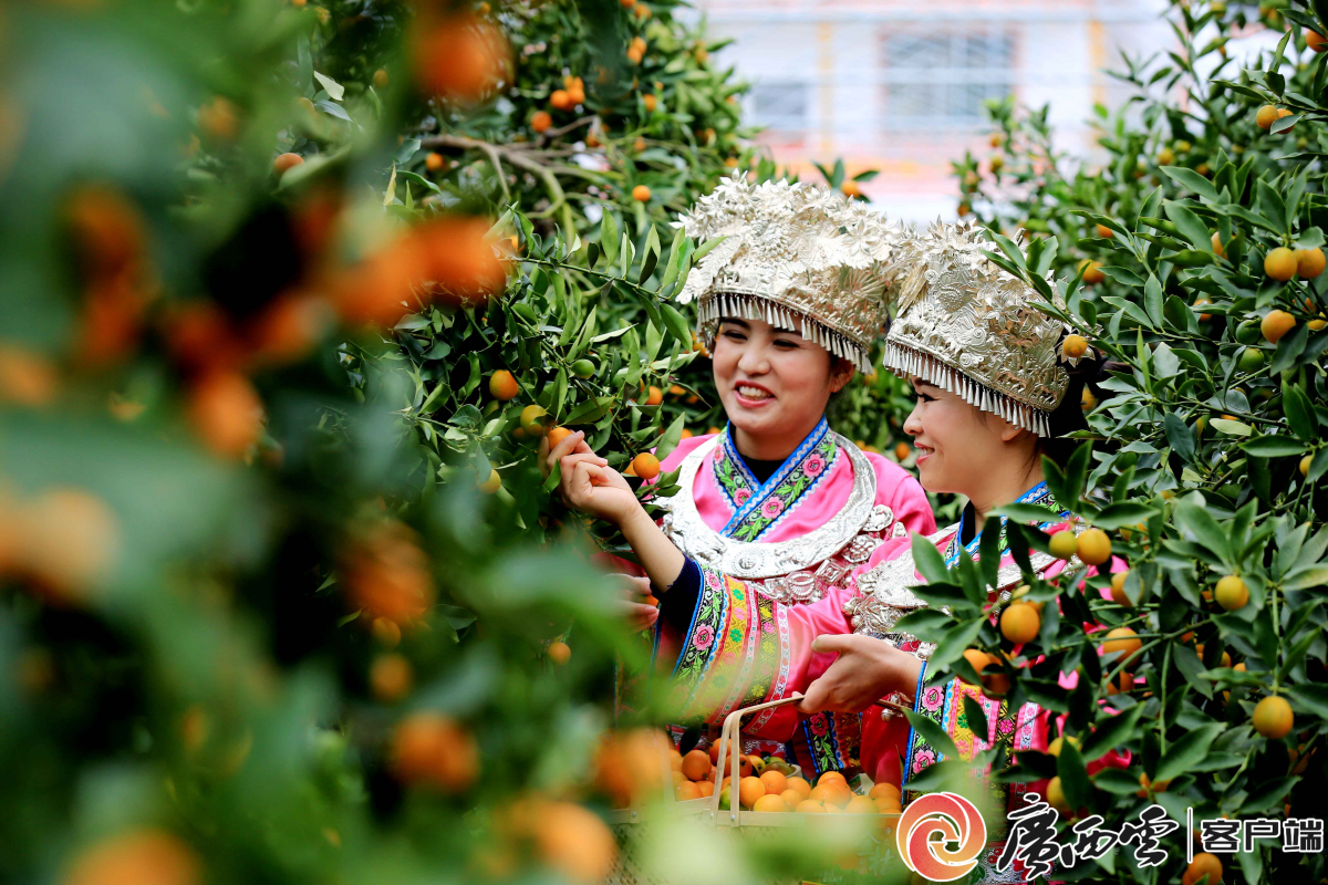 广西市场监管局：在推动边疆民族地区高质量发展上展现更大作为(图4)