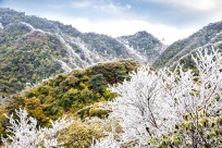 ����ɽ�ؾ�����ѩɭ�ֵĶ���ʫƪ