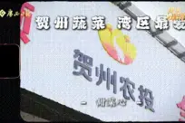 �����߲������������ɽ�����������������ĺ�