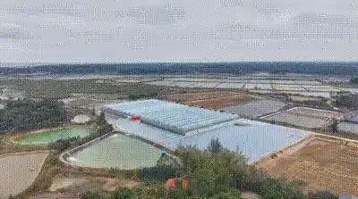 ��д��ֳ���룬���ܻ��÷��Ǹۡ���ɫ���á������¶���