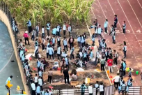 ����һСѧ��֯ѧ����Ҥ���ָ��ᣬ���ѣ���������Ŀ�ġ�������ץ���ˣ�