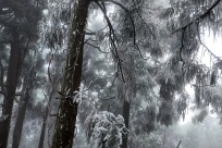 ���ƽ��ɽ��ڡ�������ɾ�