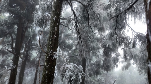 ���ƽ��ɽ��ڡ�������ɾ�