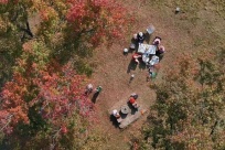 ��������������֡��ķ�Ҷ���ˣ���ȷ������������