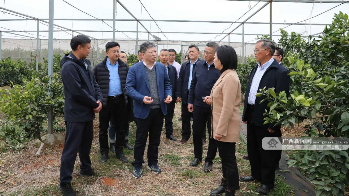 富川脐橙背后的科技力量