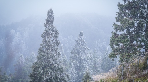 ��װ����ɽ��2026�������ڡ�����Ϯ��