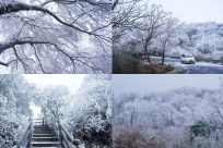 ˭˵��ѩֻ�ڱ�������������Щɽˮ�ؾ��������޶���Ķ���ͯ��