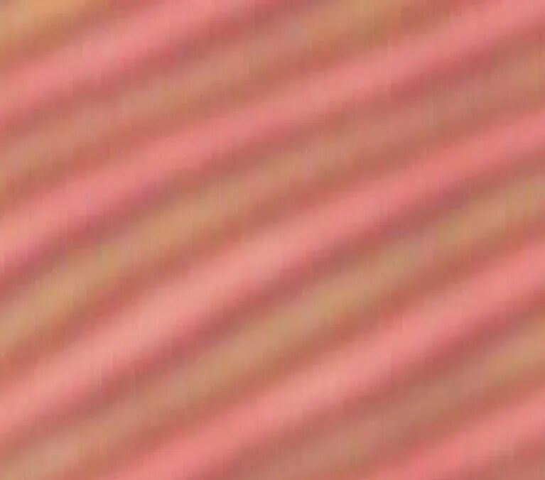 “两院院士评选2025年中国世界十大科技进展新闻”揭晓(图15)