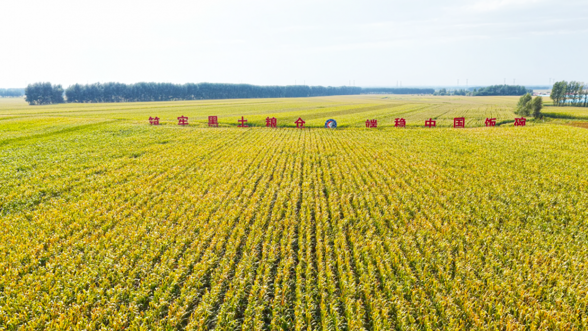 “两院院士评选2025年中国世界十大科技进展新闻”揭晓(图9)