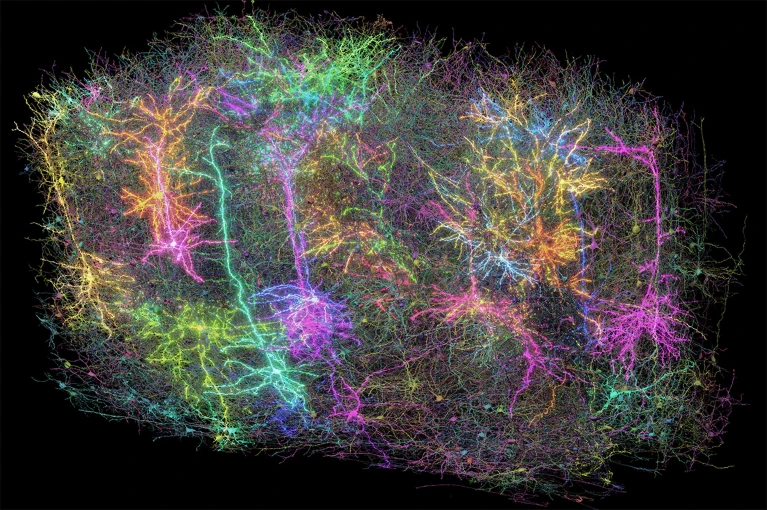 “两院院士评选2025年中国世界十大科技进展新闻”揭晓(图19)