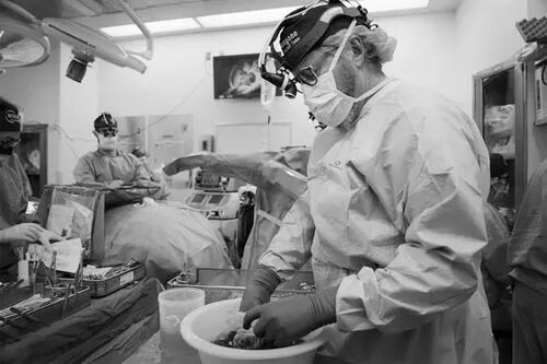 “两院院士评选2025年中国世界十大科技进展新闻”揭晓(图16)