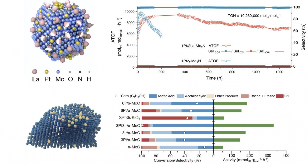 “两院院士评选2025年中国世界十大科技进展新闻”揭晓(图8)