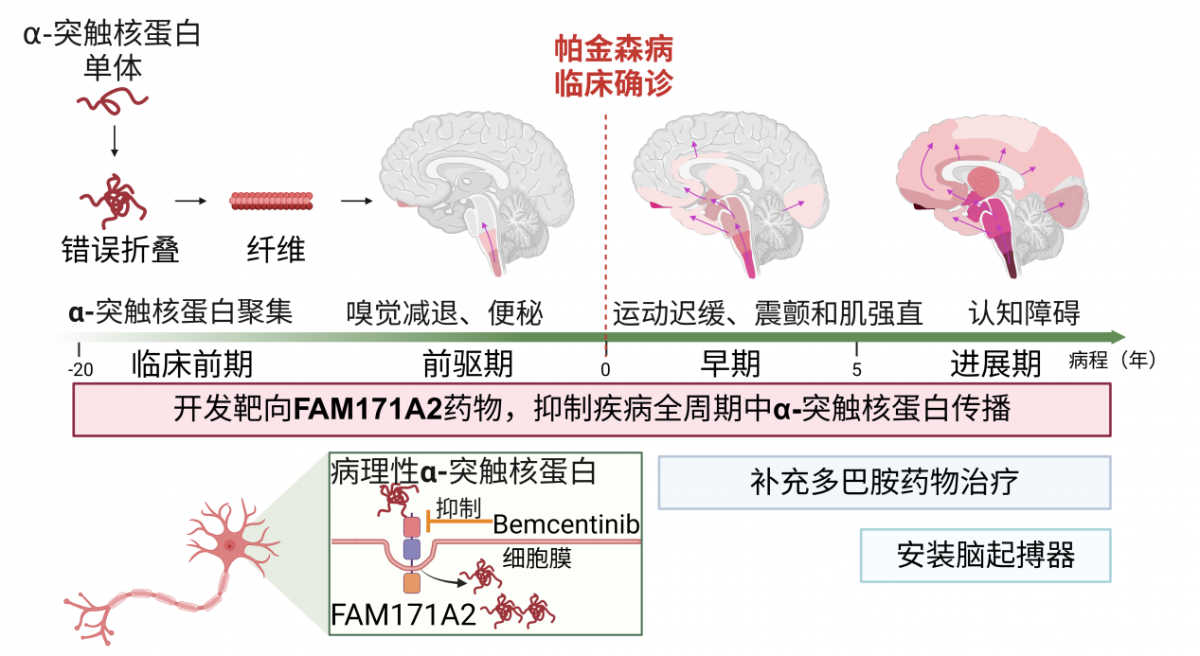 “两院院士评选2025年中国世界十大科技进展新闻”揭晓(图6)