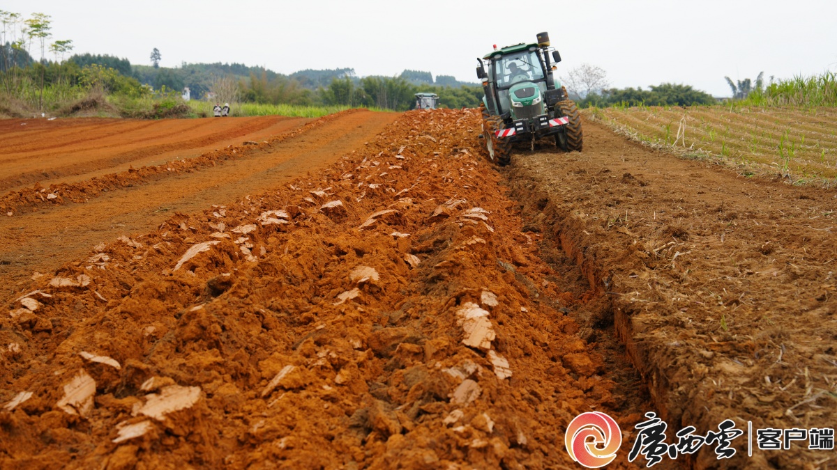 蔗农为何不再愁？答案藏在轰鸣声里铁牛一天收割量抵20壮汉(图3)