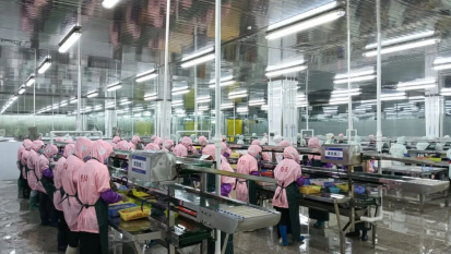 ���ж�벢�e�o(h��)�� ��(zhu��n)���A(y��)�ڹ�(ji��)ǰ����(d��ng)�Ա��ֳ�ԣ