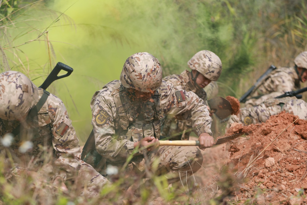 �����½����â ������ս����ʱ