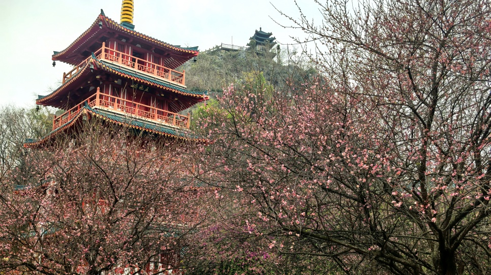 ���֝M��÷���`�ţ����ڳ��m(x��)������(ji��)