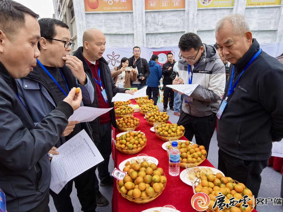 获黄仁勋点赞的融安金桔全产业链产值近百亿元(图3)