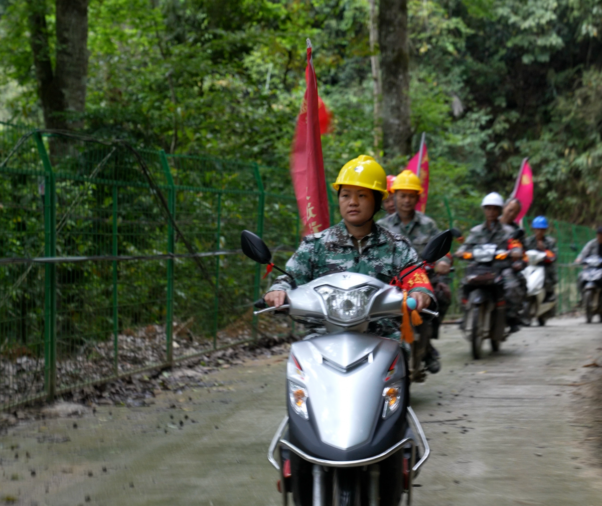 用坚守守护绿水青山！广西6万名生态护林员坚守八桂山川
