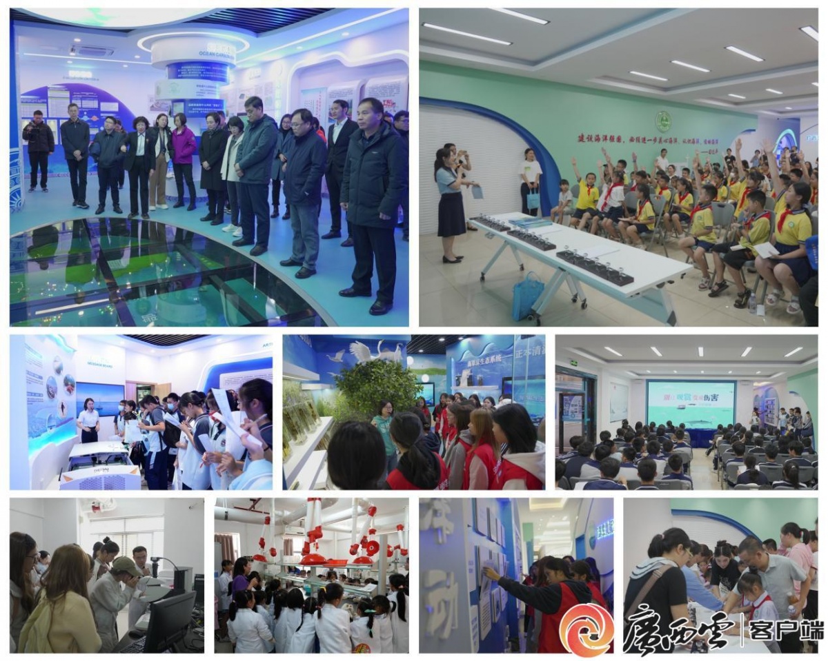 喜报！“守护北部湾‘海’好有你”科普行动入选《习近平生态文明思想实践案例(图3)